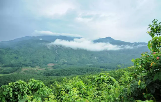 黎母圣地养生仙境黎母山